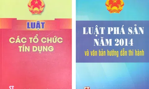 Một số qui định khác biệt, thiếu thống nhất trong Luật Phá sản hiện hành và Luật Các tổ chức tín dụng 2024