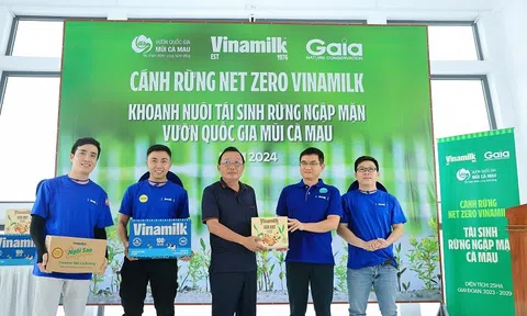 Doanh nghiệp nỗ lực phát triển bể hấp thụ carbon, hướng đến mục tiêu Net Zero 2050