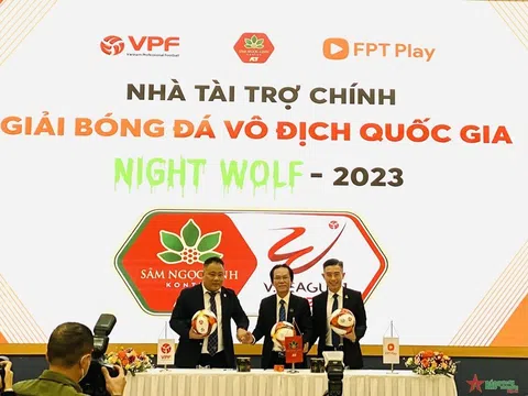 Vụ HAGL kiện VPF và những bất cập, khuyết thiếu trong các quy định go88 game bài đổi thưởng
 điều chỉnh hoạt động kinh tế thể thao.