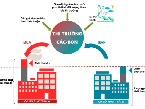 Kinh nghiệm một số quốc gia và gợi mở nghiên cứu xây dựng khung pháp lý phát triển thị trường các-bon ở Việt Nam